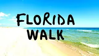 Florida Walk | 30 Minute Scenic Walking Workout