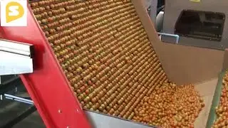 Food Industry Machines That Are At Another Level #4 - SemaTech HD