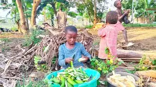 Beautiful Village Life in Africa//African Village Life 