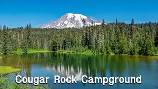 Staying in Mount Rainier National Park: Cougar Rock Review
