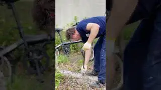 Japanese Traditional House Restoration : Day 2
