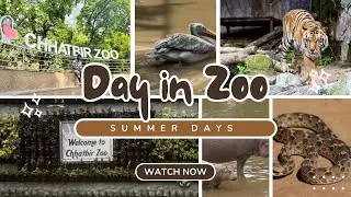 Chhatbir Zoo Vlog
