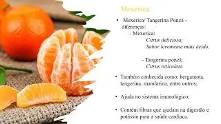Fam&iacute;lia Rutaceae: Biologia das Faner&oacute;gamas
