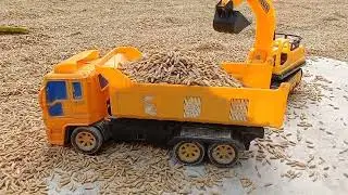 Excavator loading rice in the truck,big truck,excavator working