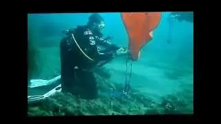 Ricerca e Recupero Agosto 2014