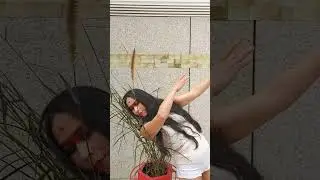 GRECIA REYNOSO & PENNISETUM ADVENA #bionicdance #shorts