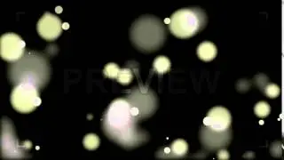 Wedding Transition Pack Stock Motion Graphics