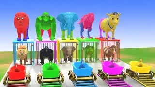 Cow Elephant Gorilla Fall Down Long Slide 😂 - 3D Animals Game 