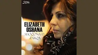 Shoqona D Zarqa
