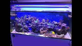 Acuario Alberto de Jerez! Evolución Acuarios Marinos de Sevilla