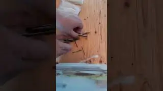 Метчики из Китая!