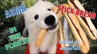 ASMR Dog Eating Stick Bread with Pate in The Forest