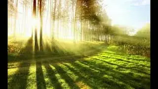 SHG - Bright sunshine