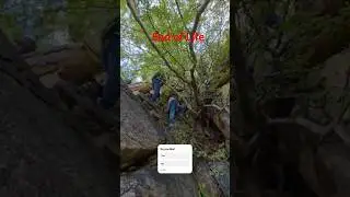 😱 Last Day in Forest | Haunted Jungle Trek 👻 | Scary Adventure #shorts #ytshorts