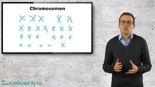 Wie ist DNA aufgebaut? - Einfach erkl&auml;rt