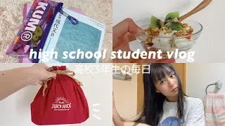 【宿題時間あり】莉子に１日密着🏫学校がある日のvlog【現役高校生のルーティン】