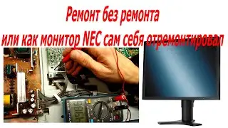 Монитор NEC MultiSync LCD2190UXi  перестал включатся, потом сам себя отремонтировал.