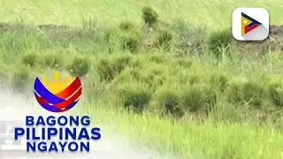 Panayam kay Supervising Science Research Specialist & Setup Unit Head, DOST - Region 9 John...