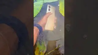 Is the Vivo T2 Pro Waterproof? 💦😭 Watch the Water Test #shorts