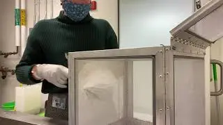 Insectary Maintenance