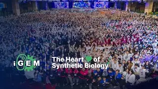 iGEM ​​| Сердце синтетической биологии