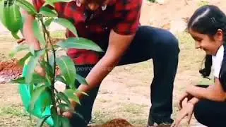 Mahesh babu doing haritha Haram