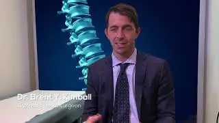 Spine 101 Series:  What Role Your Weight Plays in Your Spine Health
