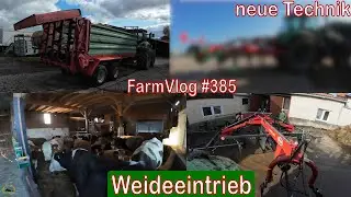 Farmvlog #385: New soil cultivation technique | Pasture turnout