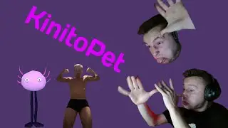 PECIU | KINITO PET, CIPKI i TAK DALEJ