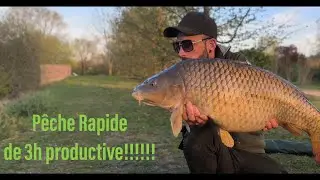 Pêche rapide Carpe 2025