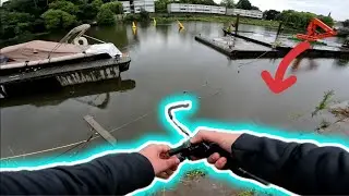 Ловля окуня на новой реке (рыбалка BFS)