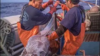 Life On A Hawaii Longline Fishing Boat