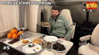 Покинули кемпинг. Заехали поесть французских устриц, остались на ночевку. Новый Год в Испании. #5