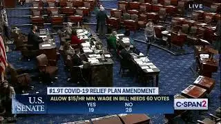 Krysten Sinema votes against $15 minimum wage | she looks very happy