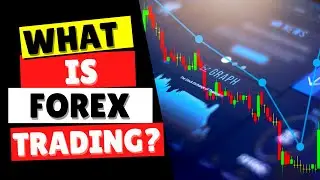 What Is Forex Trading - An Animated Explanation/ Forex Trading For Beginners