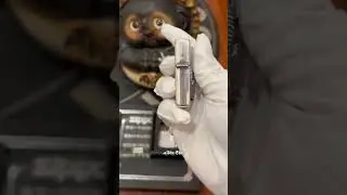 Zippo Alien #ateushop #lighter #trending #reels #viral