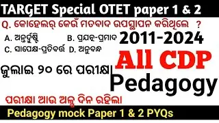 2011-2024 Pedagogy All Previous Year Question paper || CDP & pedagogy PYQ paper 1 & 2 || SOTET, SSD