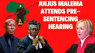 EFF Leader Julius Malema Attends Pre-Sentencing Hearing At East London Magistrate Court