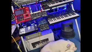 Star Destroyer    #synthwave #hapax #oberheim #roland #mpc