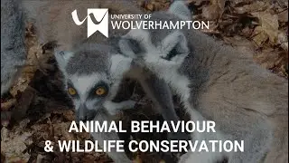 Conservation Career Advice with Ellesse