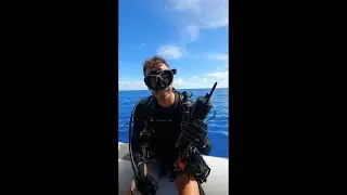 Ep 6 Acoustic Telemetry Part I