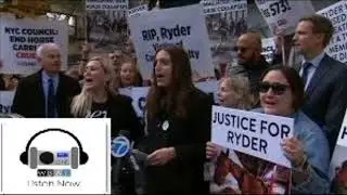 Edita Birnkrant Of NYCLASS On WBAI 99.5 NYC Talks Ending NYC Carriage Horse Nightmare Now.