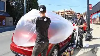 Humanity In Art |   Bee Mural Part I