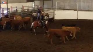 IMG 09441