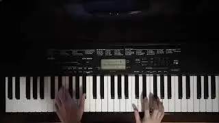 Sabaton - Carolus Rex piano cover Casio CTK - 3500