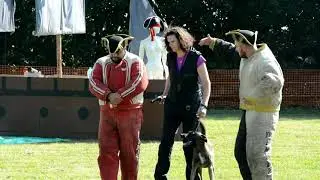 Defence of handler cat. 1, Mondioring Pirates game V&iacute;tkov-Klokočov 2020