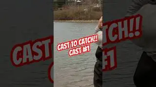 Cast to Catch with CRB Silent Snatchin Shad!! 🎣