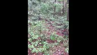 Lots And Land for sale - 304 Wood Grove Ct. Trail, TALLAHASSEE, FL 32301