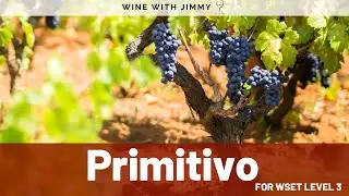 🍷 Primitivo (Zinfandel) for WSET Level 3🍷