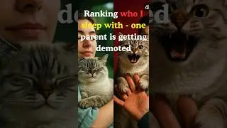 Ranking Who I Sleep With - One Parent is Getting Demoted #shorts #ranking